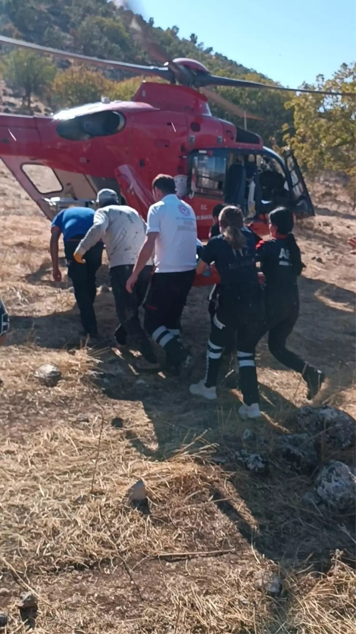 Ağaçtan Düşen Adam Helikopterle Hastaneye Ulaştırıldı