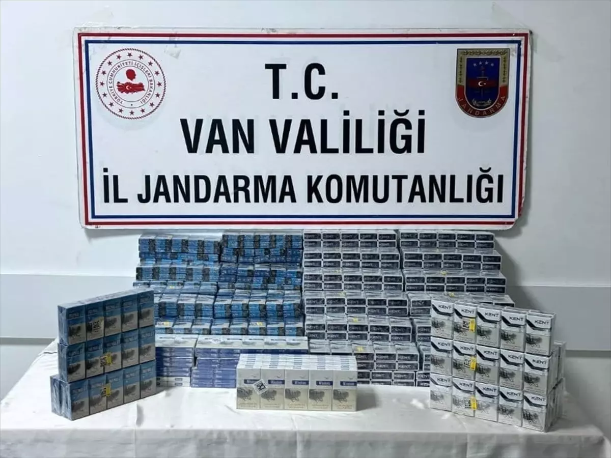 Van’da Kaçakçılık Operasyonlarına 95 Gözaltı